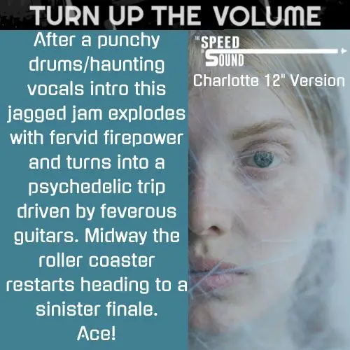 Turn Up The Volume 2